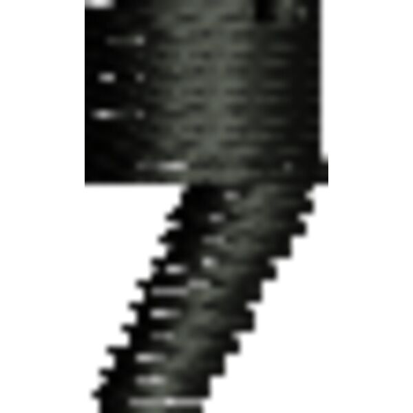 79622 var 2 Thumbnail