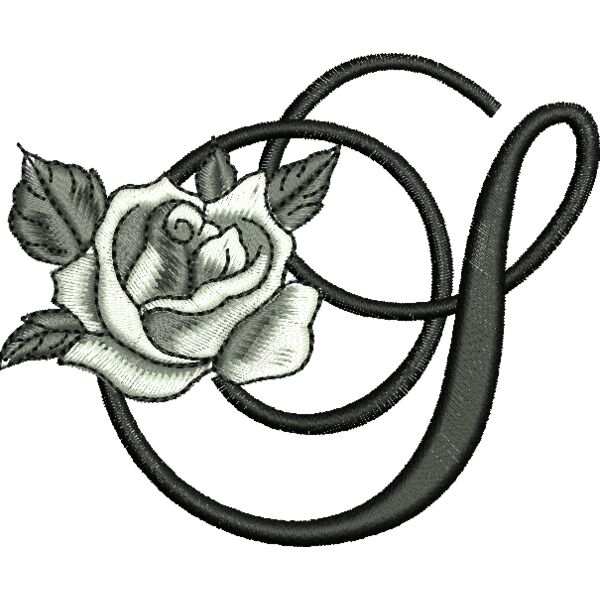 50411 var 4 Thumbnail