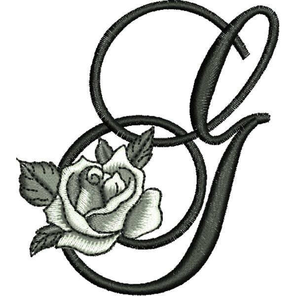 50399 var 3 Thumbnail