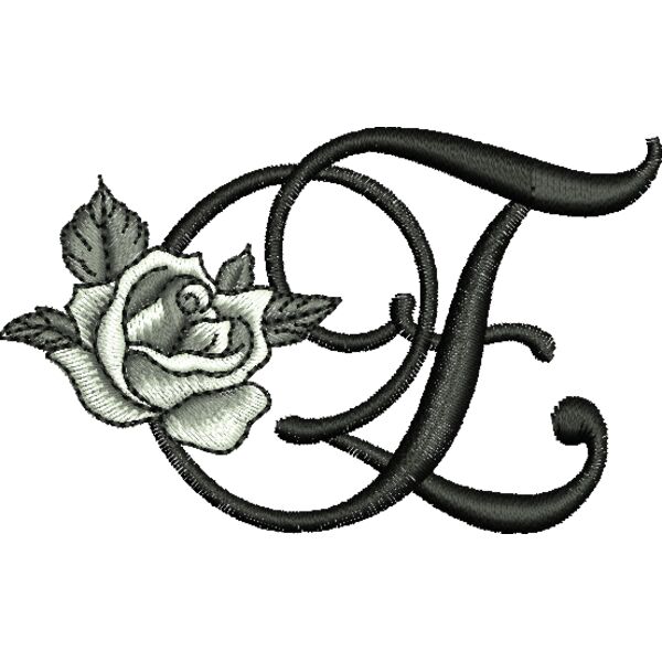 50397 var 2 Thumbnail