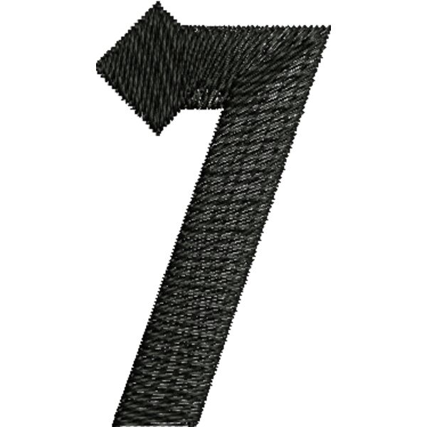 77309 var 2 Thumbnail