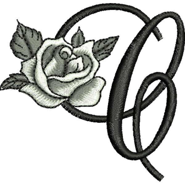 50395 var 3 Thumbnail