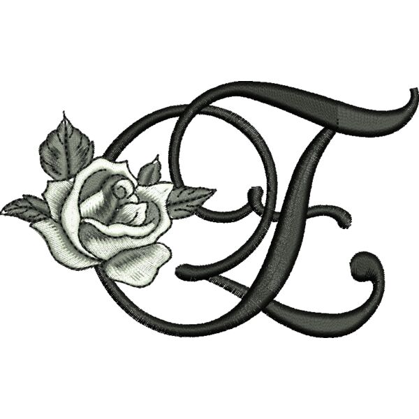 50397 var 4 Thumbnail